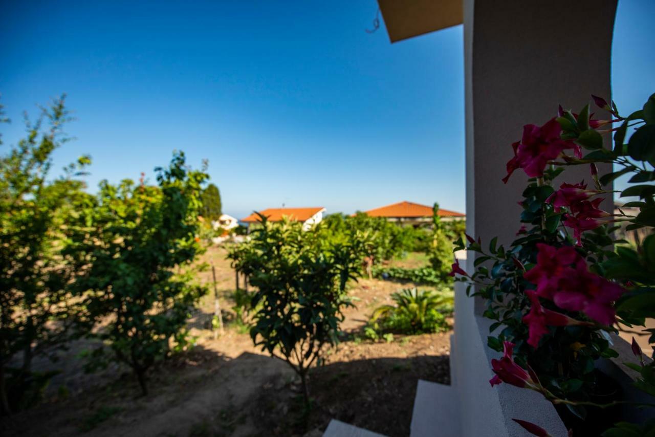 Michelino House Bed & Breakfast Parghelia Exterior foto
